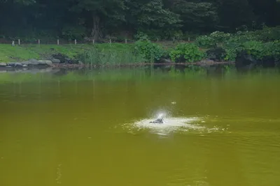 DSC_3399 (Large).JPG